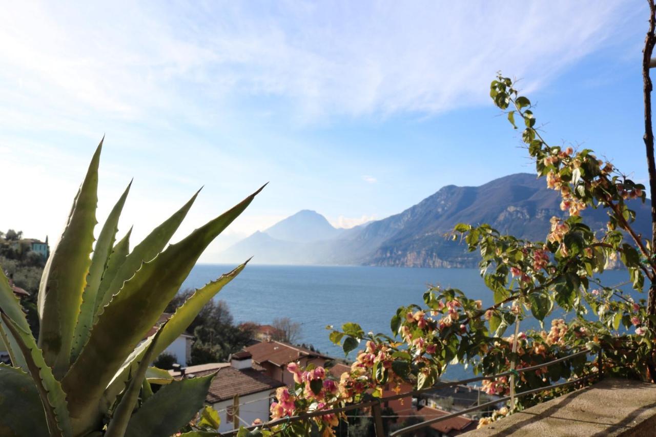 Le Due Terrazze Villa Brenzone sul Garda Eksteriør bilde