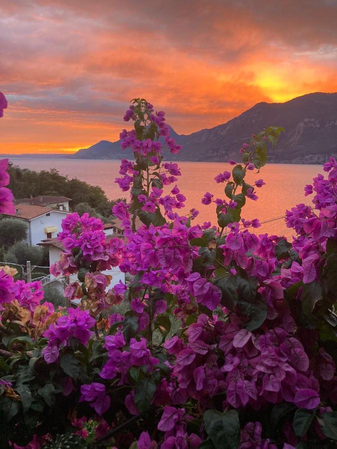 Le Due Terrazze Villa Brenzone sul Garda Eksteriør bilde